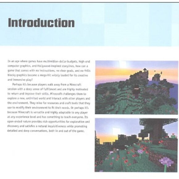 Unofficial Minecraft Lab for Kids & Diary of a Minecraft Book 4 - Picture 5 of 9